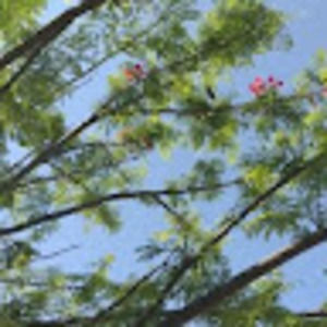 Meet your Posher, Janet